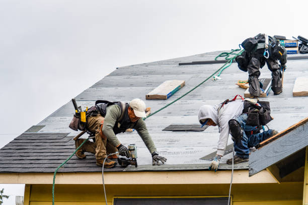 Professional Gutter Installation technician working in Estill, SC
